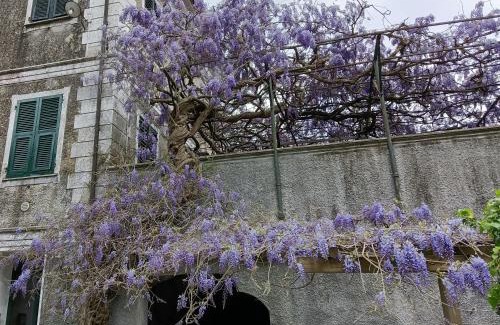 Prati Apartment | 2 appartamenti totale 12 posti letto