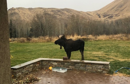 Hailey Cottage | 2 Bd. 2 Bath Charming Country Guest House close to ski slopes of Sun Valley