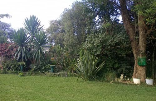 Harare Apartment | 2 bed guesthouse in Mabelreign - 2012