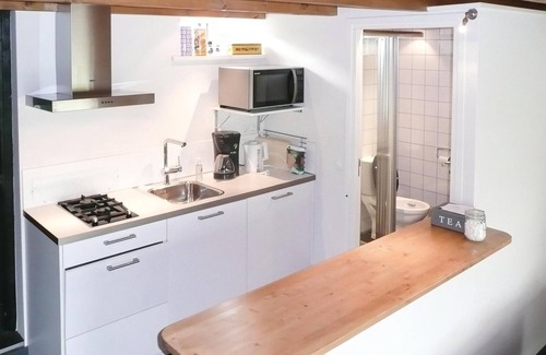 Zwanegat House | 2 bedroom lovely home in Maasdam