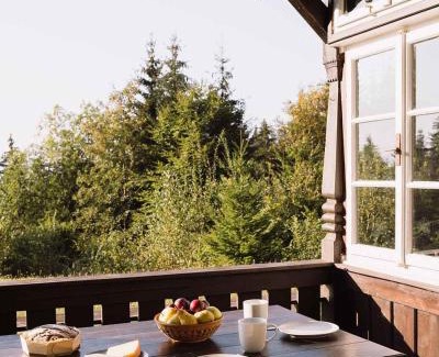 Hungerburg-Hoheninnsbruck Ski Chalet | 2 Chalets Innsbruck