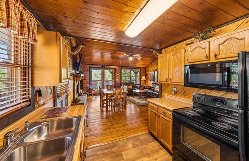 Gatlinburg - Pigeon Forge Cabin | 2 King Bds-SL 4-Great View-9 Mins to D'wood- Most Bear Visits-Cleanest Cabin Too