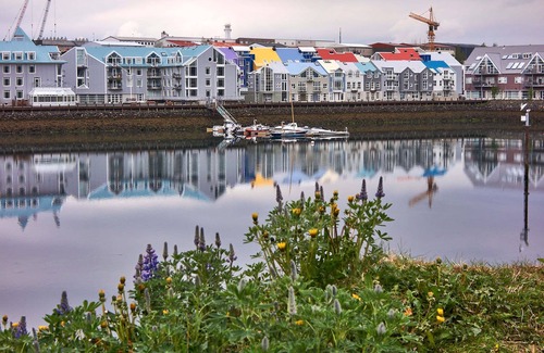 Grafarvogur Apartment | 2 rooms in shared apartment - private bathroom. (50 $ cleaning fee included)