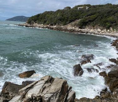 Rosignano Marittimo Apartment | 2 Tuscan seafront apartments with private access to sea