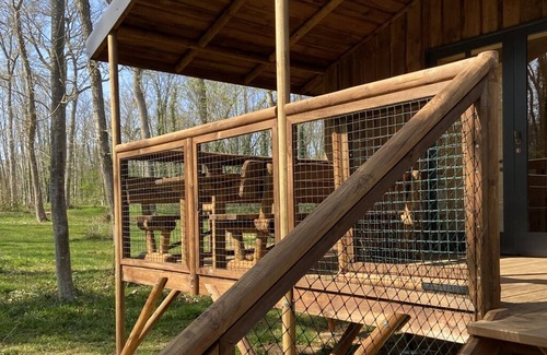 Sille-le-Philippe House | 2 wooden cabins in the heart of nature in the Chanteloup forest