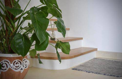 Botrugno Bed & Breakfast | 25 m² Bed and breakfast ∙ 2 guests