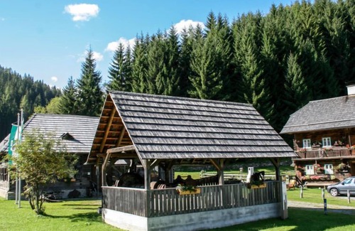 Turracher Hohe House | #29 mit IR-Sauna und Sprudelbad Innen by Interhome