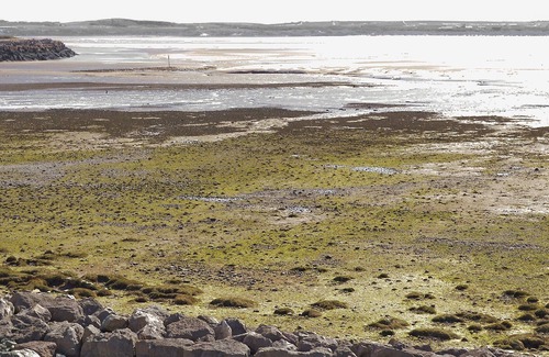 Haverigg Cottage | 3 bedroom accommodation in Haverigg, near Millom