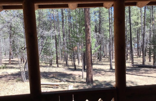 Alpine House | 3 Br 2 Bath by Cabin, in the Pines and Aspens with US forest access