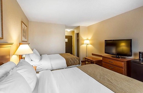 Gander Hotel | 3-Star Hotel ∙ Comfort Inn - Gander