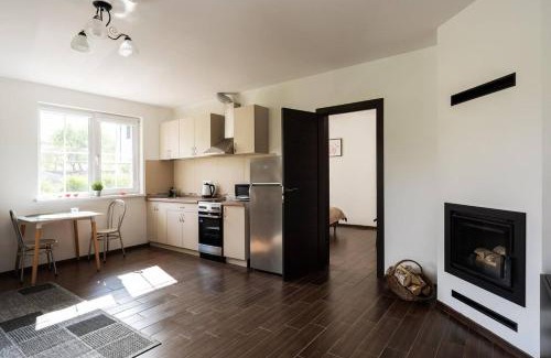 Vilnius city municipality Apartment | 4 Apartment Between Two Lakes