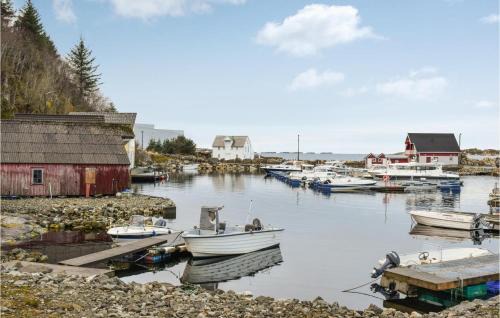 Selbjorn House | 4 Bedroom Nice Home In Bekkjarvik