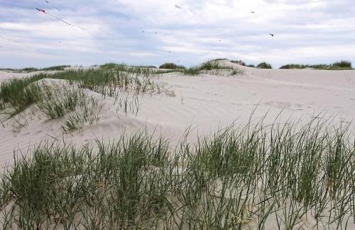 Rindby Strand House | 4 person holiday home in Fanø-By Traum