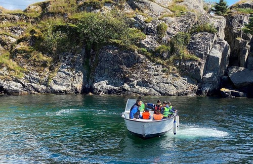 Nautnes Apartment | 4 person holiday home in Tjeldstø