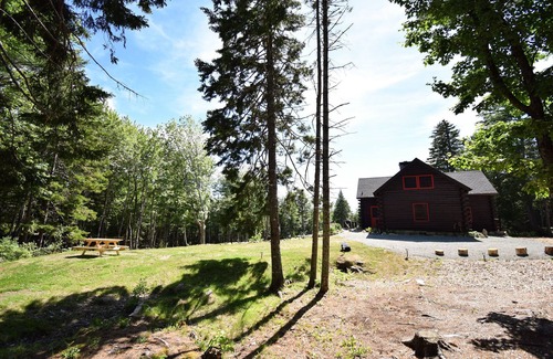 Corea Cabin | 40 Acre Forested Privacy w/Deeded Beach Access Near Acadia Schoodic