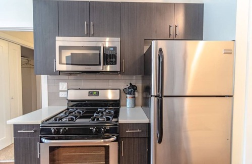 Near South Side Apartment | 420 friendly 2br/2ba with optional parking/sleeps 8