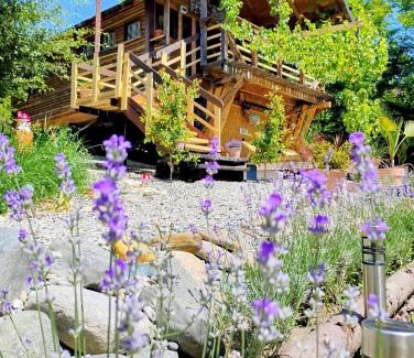 Avrig Cabin | 479 Tiny House, Domeniul von Agodt
