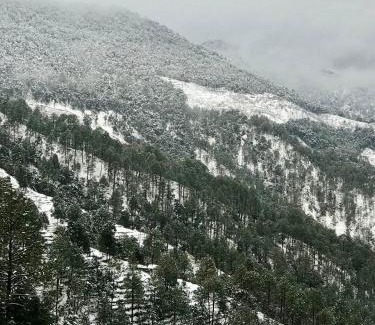Ramgarh House | 4U homes, Ramgarh, Mukteshwar- A Little Cabin, A Lot of Calm