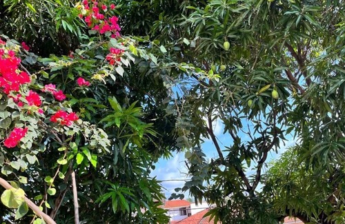 Nossa Senhora da Conceicao House | 5 minutes to the beach