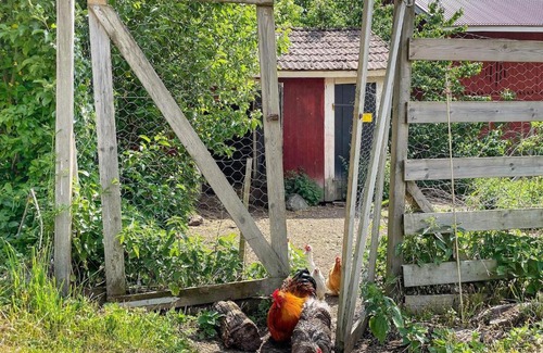 Valdemarsvik House | 5 person holiday home in VALDEMARSVIK-By Traum