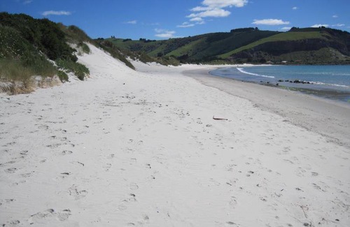 North Dunedin Hotel | 59 m² Motel ∙ 2 bedrooms ∙ 5 guests