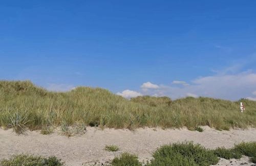 Dannemare House | 6 person holiday home in Dannemare-By Traum