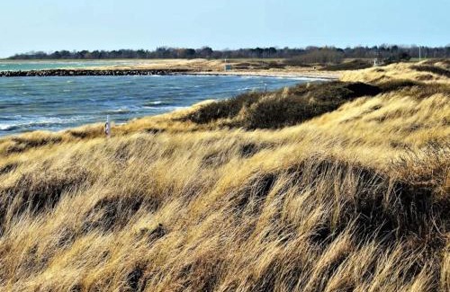 Dannemare House | 6 person holiday home in Dannemare-By Traum