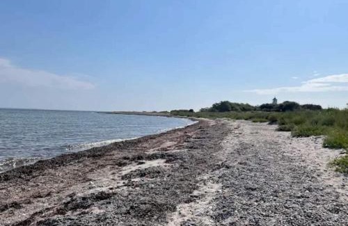 Nordborg House | 6 person holiday home in Nordborg