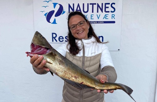 Nautnes Apartment | 6 person holiday home in Tjeldstø