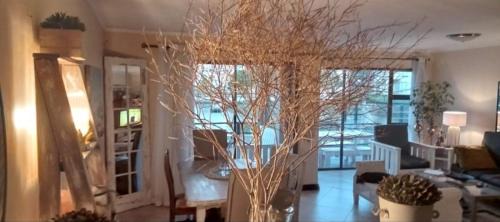 Port Owen Apartment | 6 Sleeper Magical Marina Villa