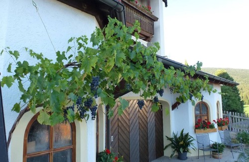 Rimbach Apartment | 64qm große FeWo in ruhiger Südlage mit Balkon