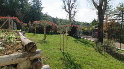 Pianoro Bed & Breakfast | 7 Olmi b&b Bologna