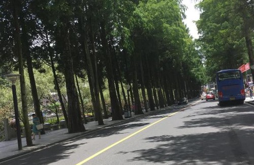 Ji'an Hotel | 7Days Inn Ji'an County Junshan Avenue