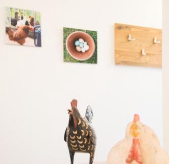 Povo House | 8 Grappoli Agritur