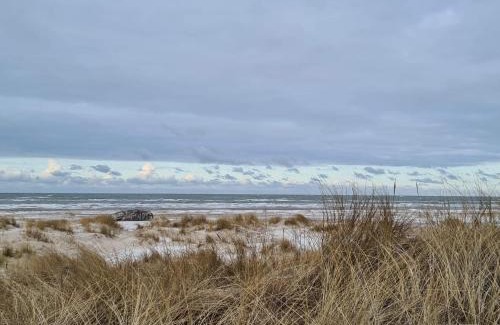 Fjerritslev House | 8 person holiday home in Fjerritslev-By Traum