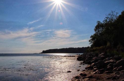 Nysted House | 8 person holiday home in Nysted-By Traum