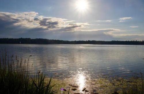 Nysted House | 8 person holiday home in Nysted-By Traum