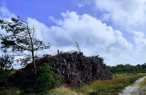 Jegum House | 8 person holiday home in Oksbøl-By Traum