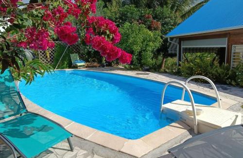 Saint-Charles Apartment | 971F2-Gîte Sud-Ô-Naturel "Mangue'Divine" pool view