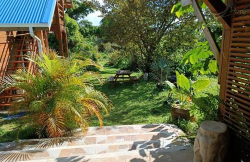 Saint-Charles Apartment | 971F2-Gîte Sud-Ô-Naturel "Mangue'Divine" pool view