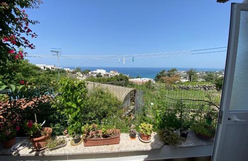 Succhivo Apartment | A cas e Rosa