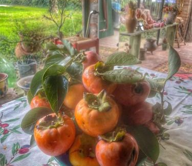 Voghiera Bed & Breakfast | A Casa di Maica
