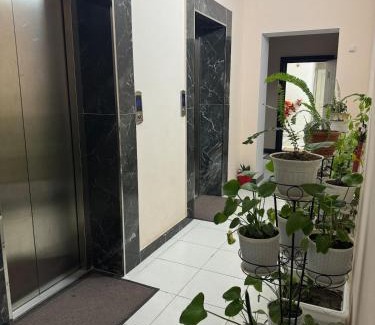 Dushanbe Apartment | A comfortable coner in the city center