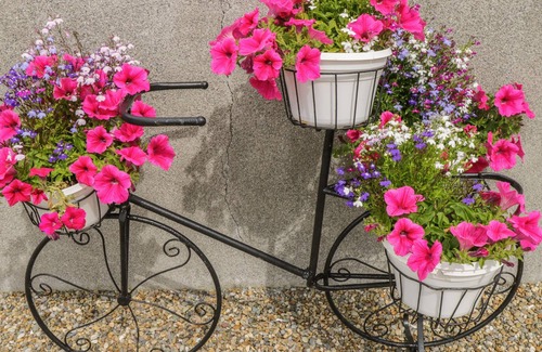 Turloughmore Cottage | A COUNTRY VIEW COTTAGE, family friendly in Athenry, County Galway