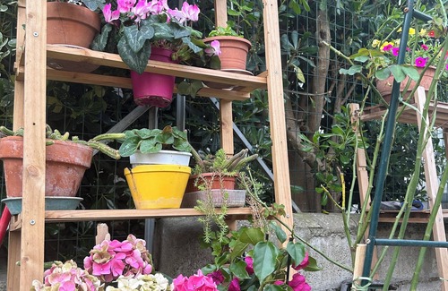 Sant'Alberto House | A due Passi dal Parco del Delta