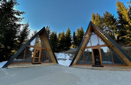 Paltinis Cabin | A-frame Frumusica