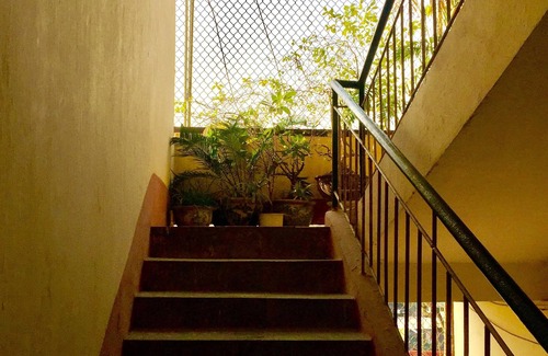 Hang Bai Apartment | A Green Home