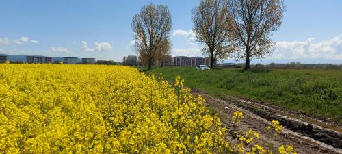 Sibiu Apartment | A & I Apartment