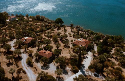 Mytilene Villa | A Luxury Seafront Villa with amazing ambience and view