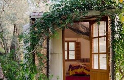 Lanjaron Cabin | A majestic Almond Yurt located in the Sierra Nevada mountains.